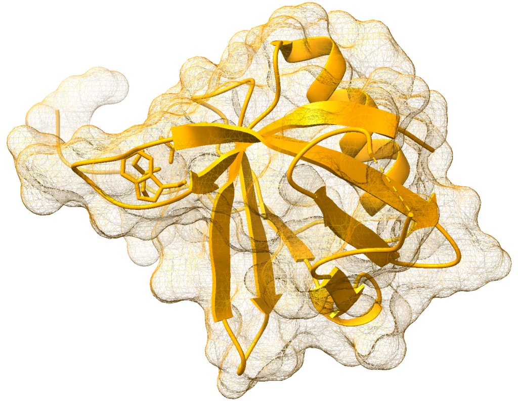 Protein Structure Example
