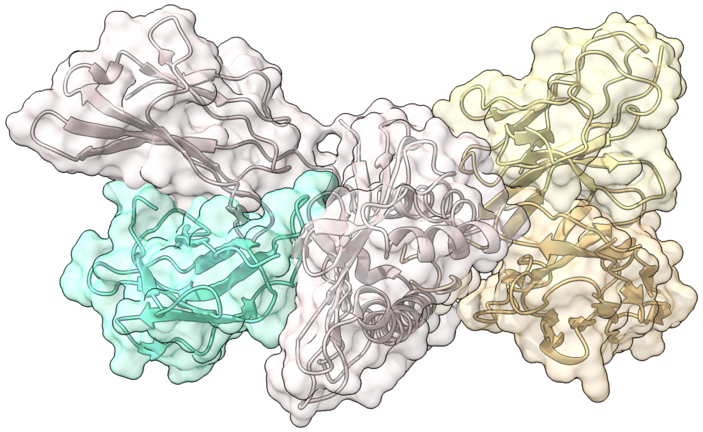 Protein Structure Example